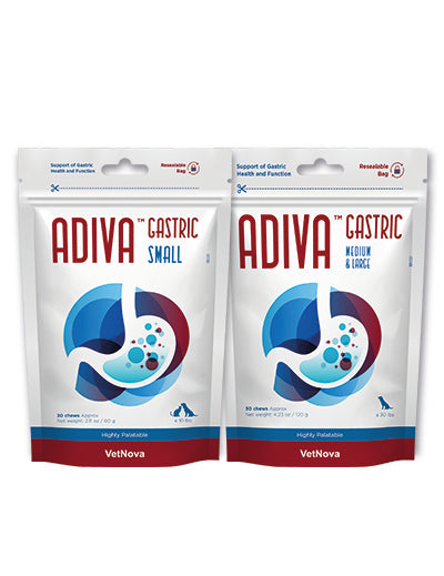 🐾 ADIVA® Gastric Chews – Protección digestiva avanzada para perros y gatos