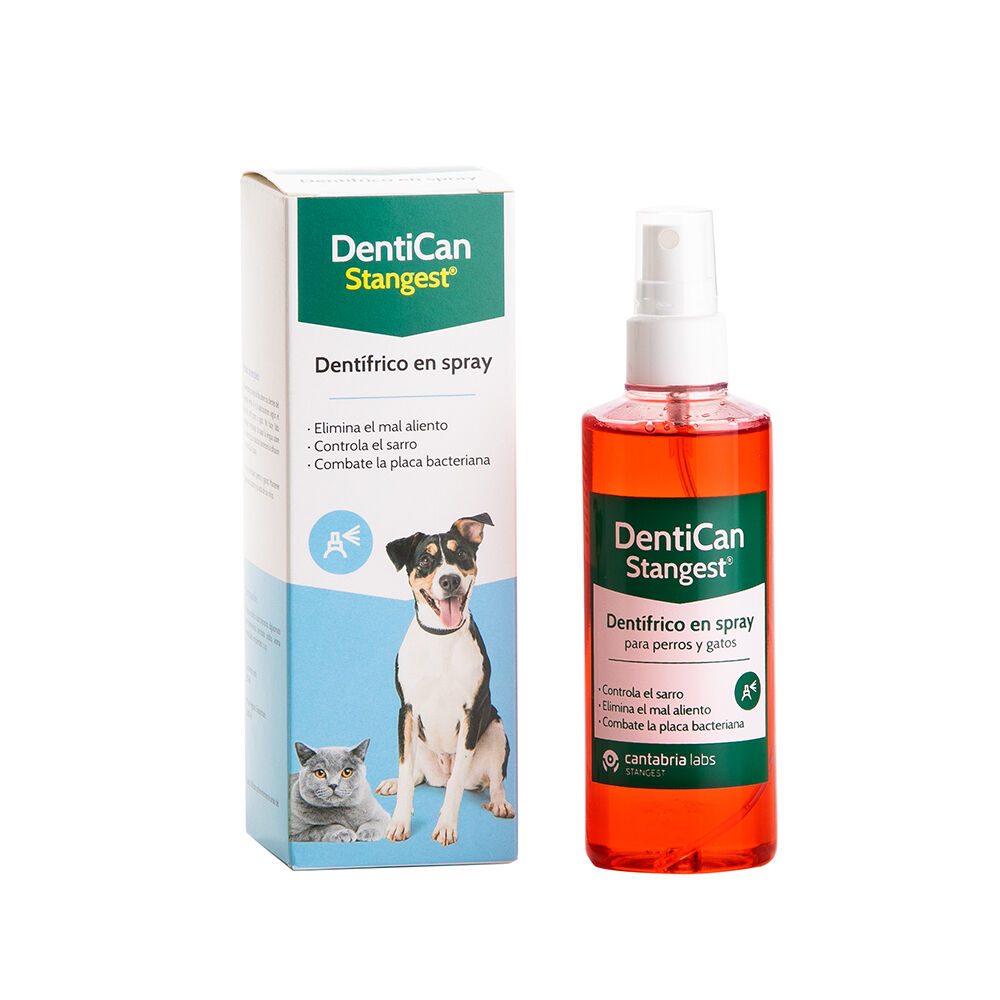 STANGEST DENTICAN SPRAY