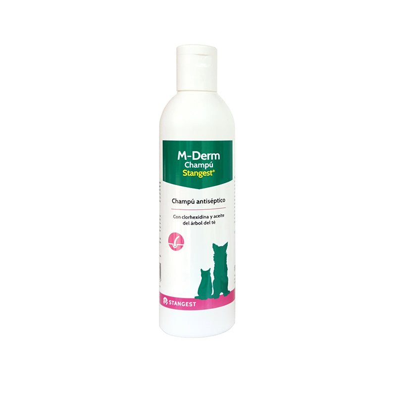 STANGEST M-DERM CHAMPÚ