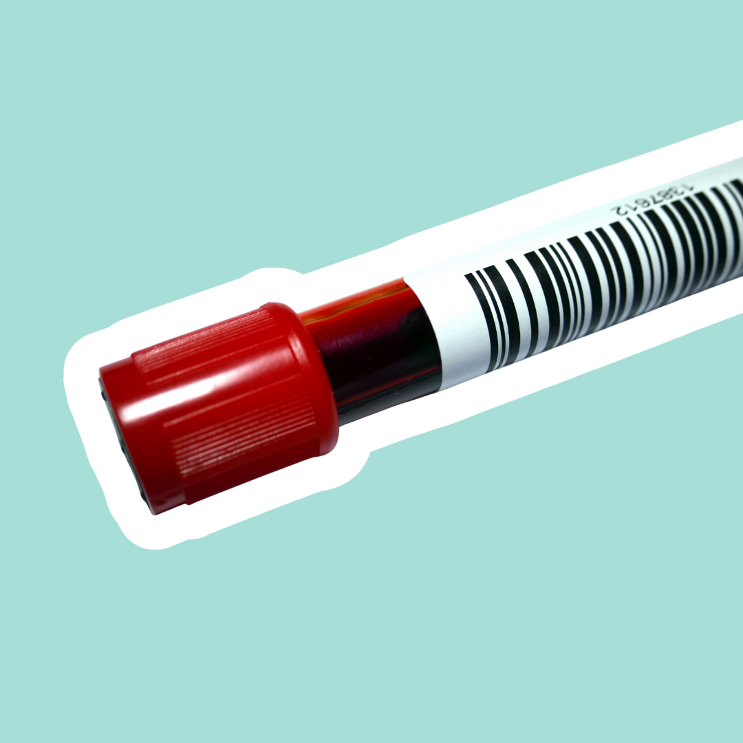 Anemia en perros | Vitaminas, minerales y apoyo para glóbulos rojos