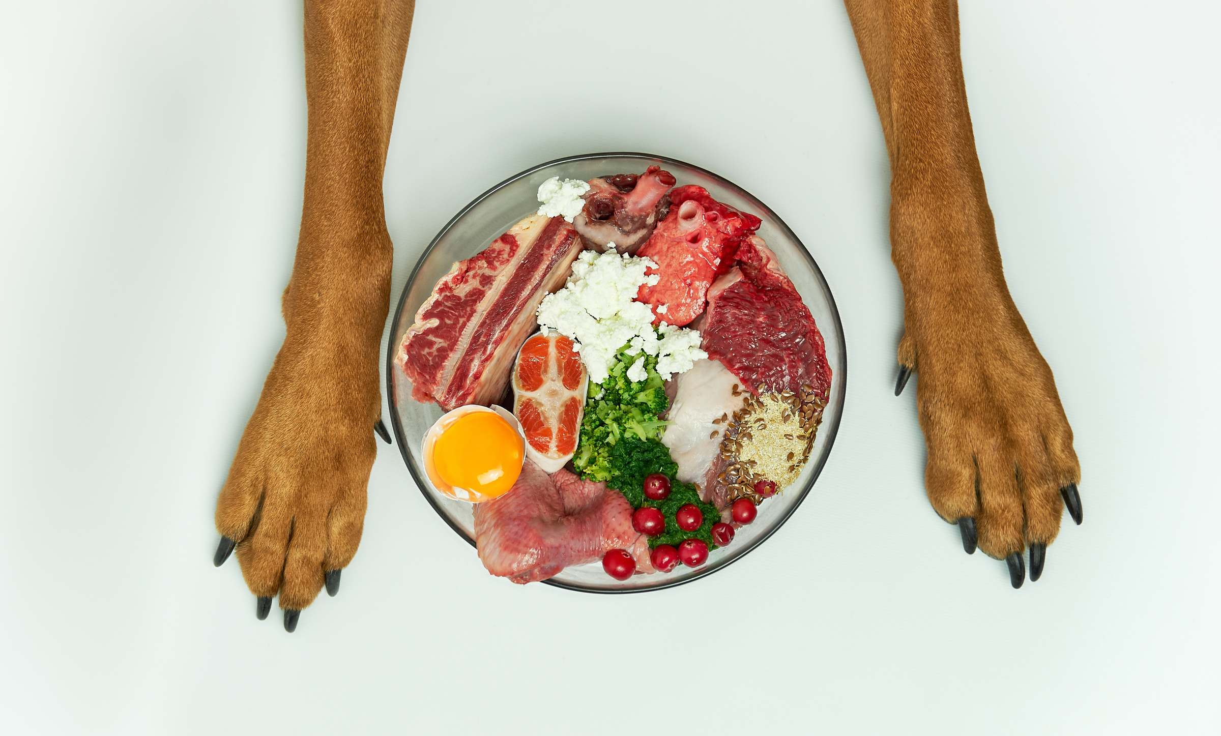 PACK DE ALIMENTACIÓN