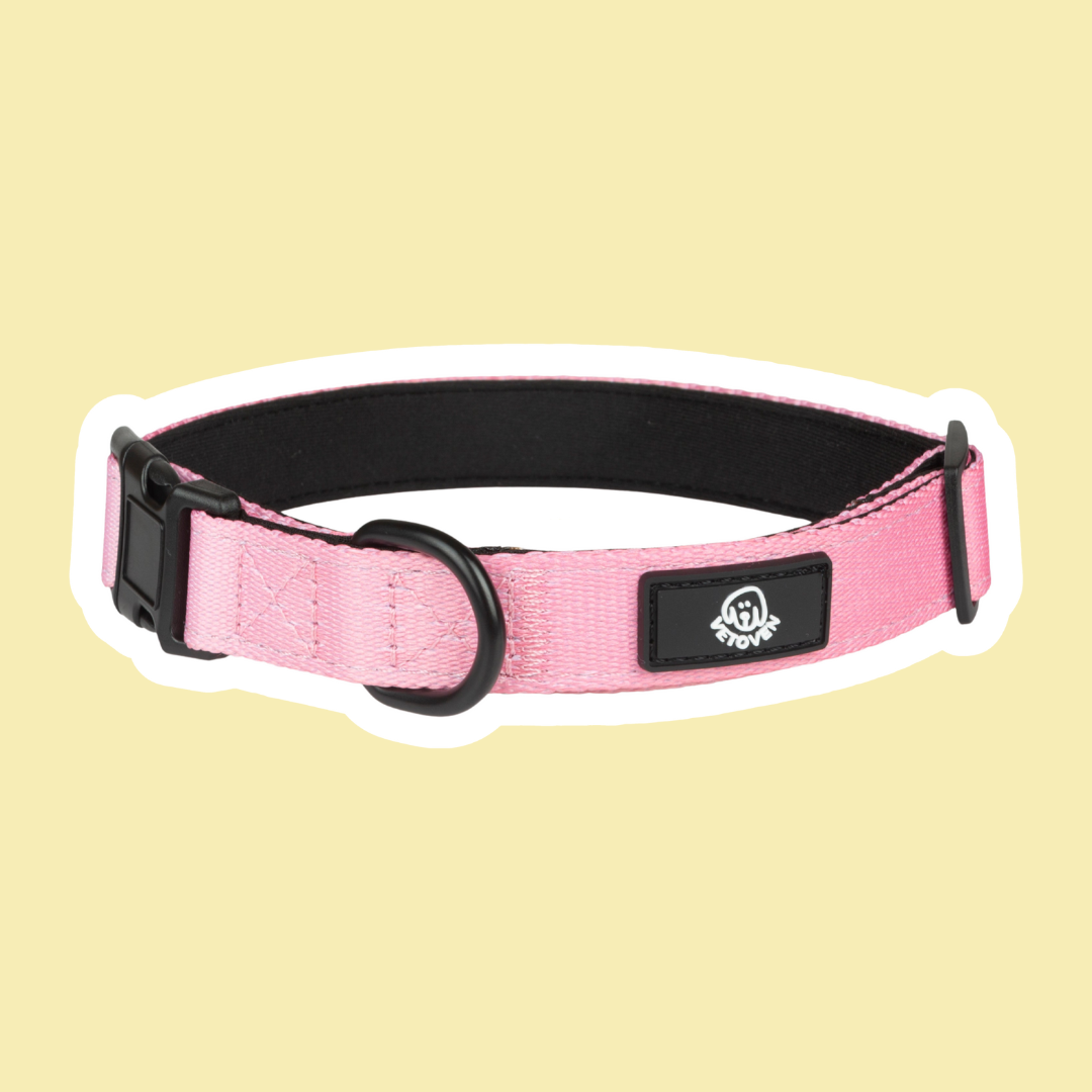 Collares para Paseo Seleccionados por Veterinarios