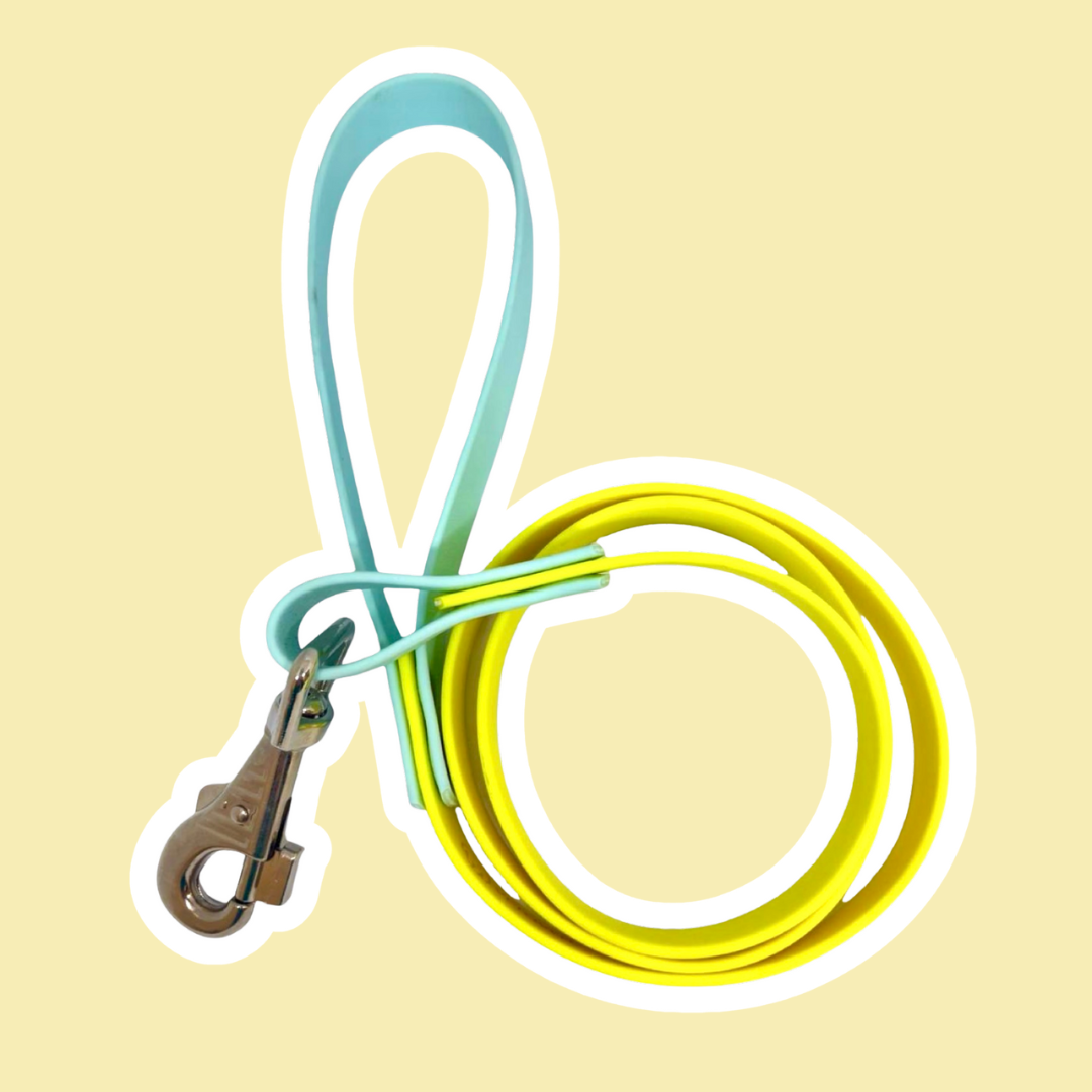 Colección Playa y Río – Correas Waterproof para un Verano sin Límites