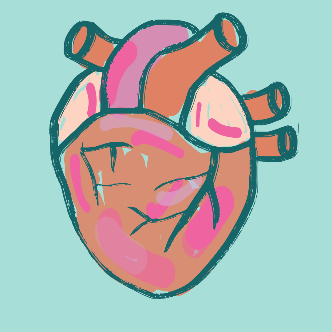 Suplementos cardíacos para perros | Corazón, tos e hipertensión