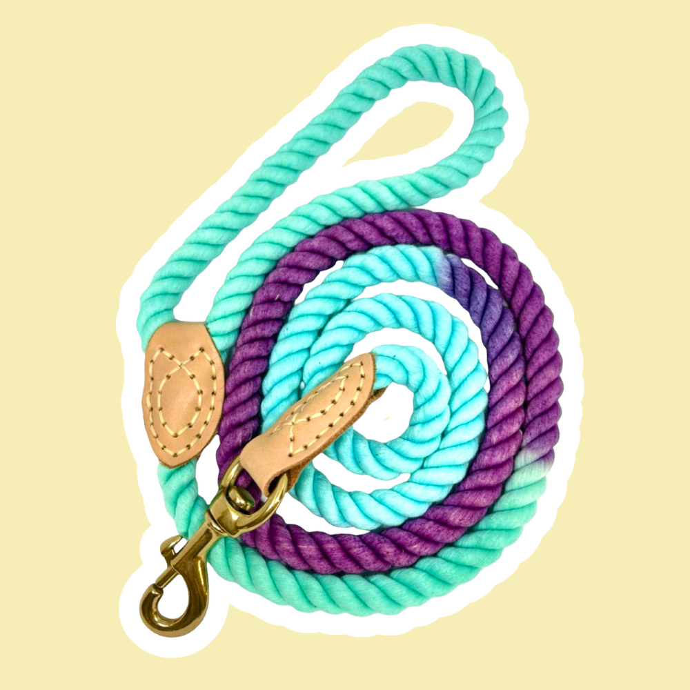 Correas de Paseo Seleccionadas por Veterinarios