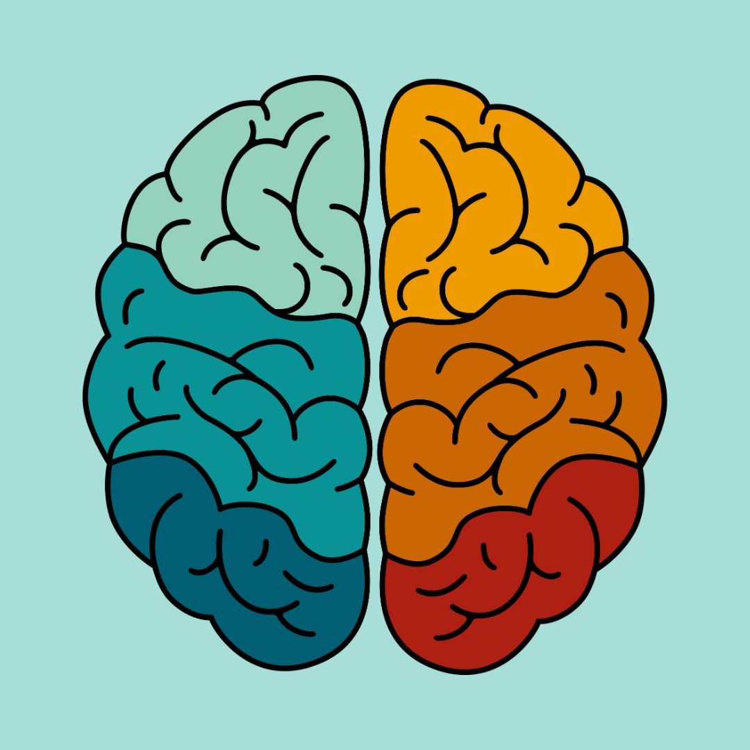 Suplementos neurológicos para perros | Sistema nervioso y apoyo cerebral