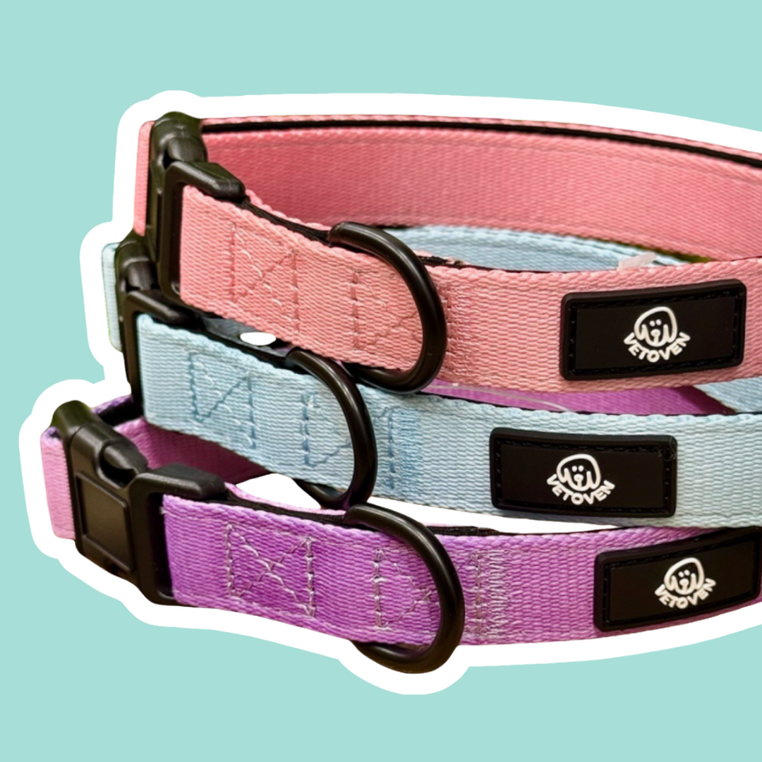 Colección Primavera Vetoven – Paseos con Color, Suavidad y Naturaleza