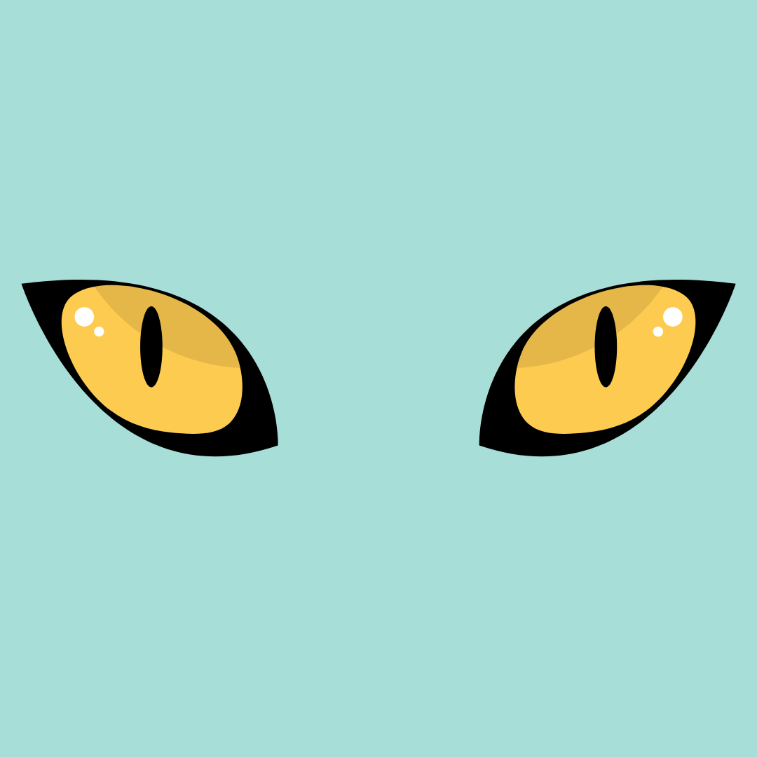 Cuidado ocular y visión en perros | Suplementos y apoyo natural