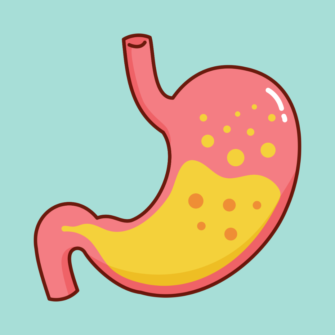 Suplementos digestivos para perros | Vómitos, diarrea, gases y flora