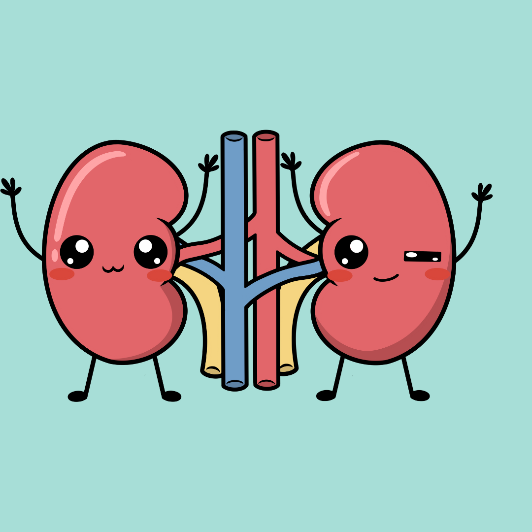 Suplementos urinarios y renales para perros | Vejiga, cistitis y riñón