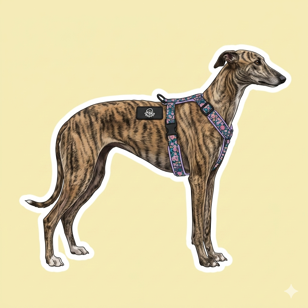 Arneses artesanales para galgos