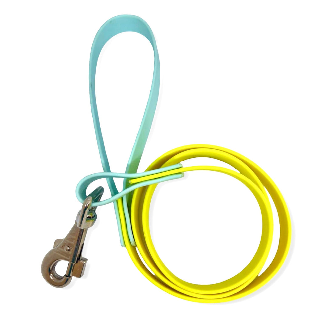 Colección Playa y Río – Correas Waterproof para un Verano sin Límites