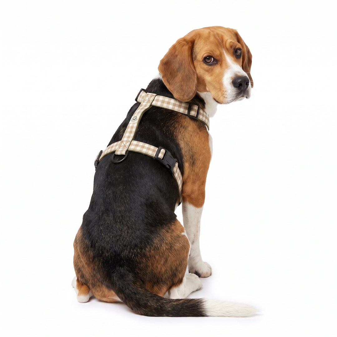 Arnés Regulable Vichy Helecho para Perro | Vetoven