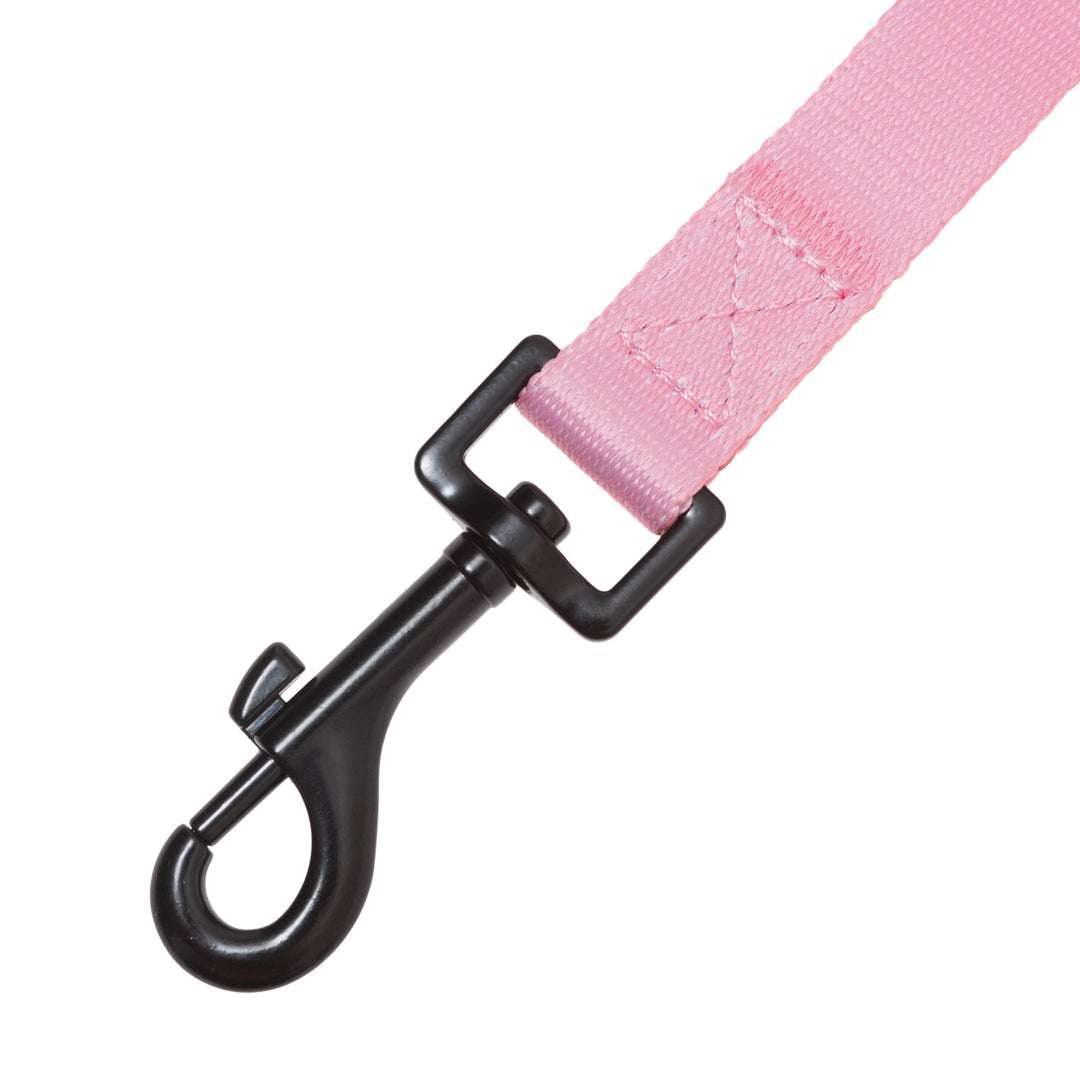 Correa para Perro Brezo de Otoño Vetoven - Colección Primavera
