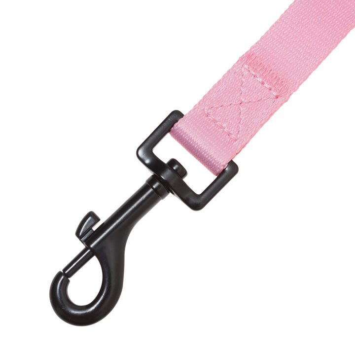Correa para Perro Brezo de Otoño Vetoven - Colección Primavera