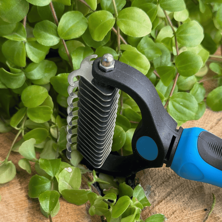 Deslanador Rastrillo Profesional – Ideal para Mantos Densos