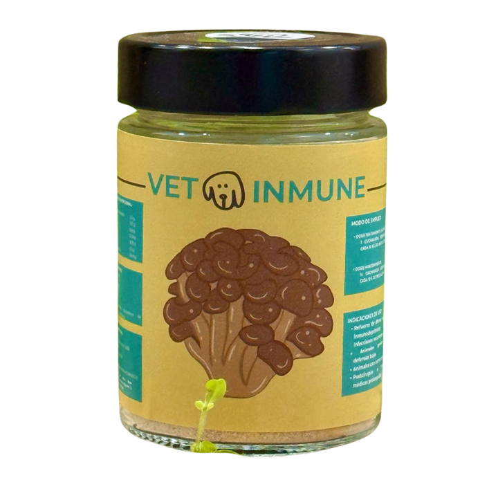 🍄💪 HONGO TERAPEUTICO - VETOINMUNE
