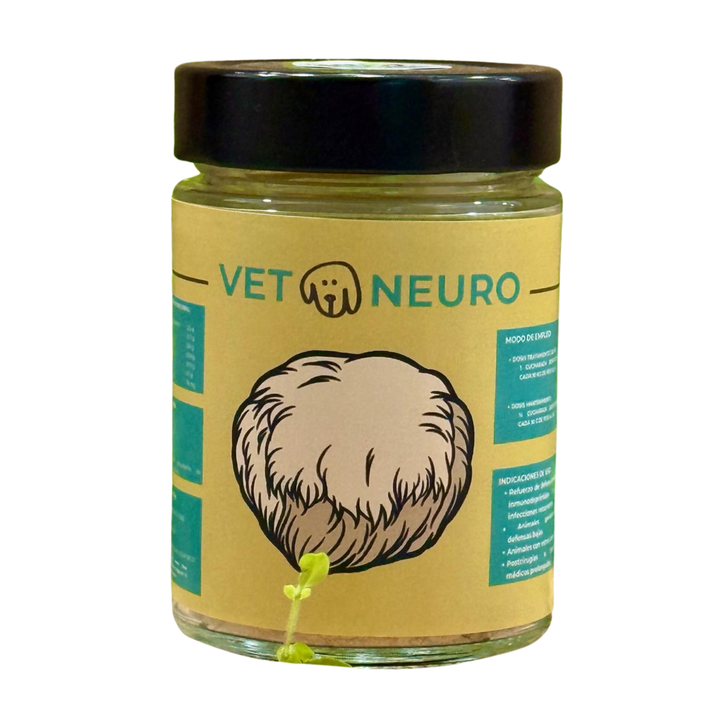 🧠🌱 HONGO TERAPUETICO - VETONEURO