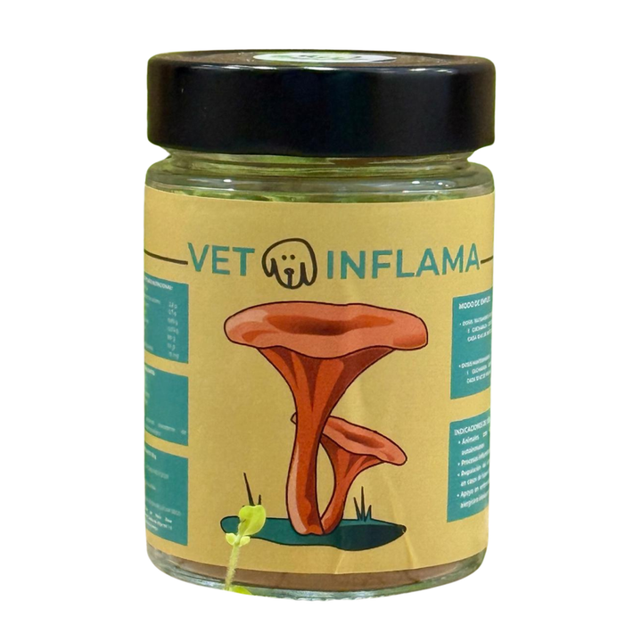 🍄🦴 HONGO TERAPEUTICO - VETOINFLAMA