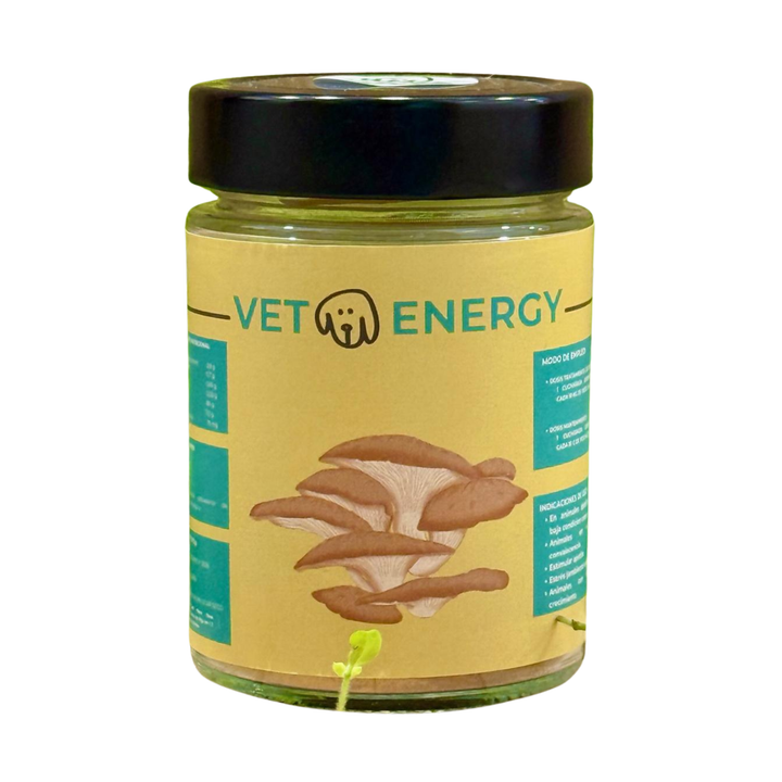 💪🍄 HONGO TERAPUETICO - VETOENERGY