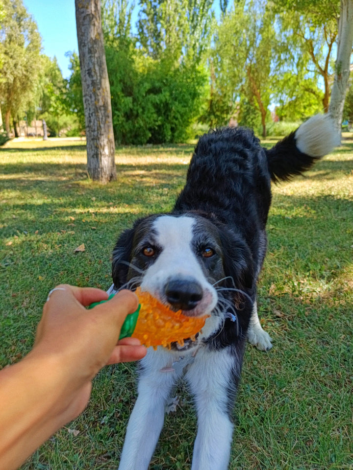 Juguete Piña