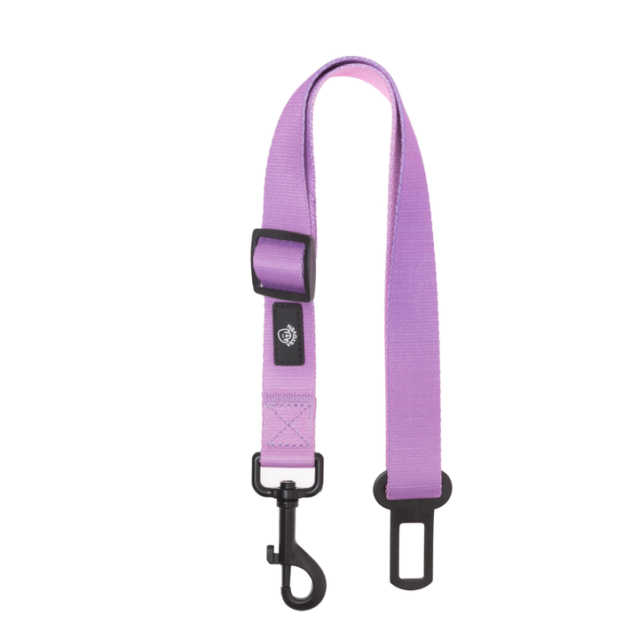 💜 Cinturón para Perros “Lavanda” – Paseos Manos Libres Vetoven