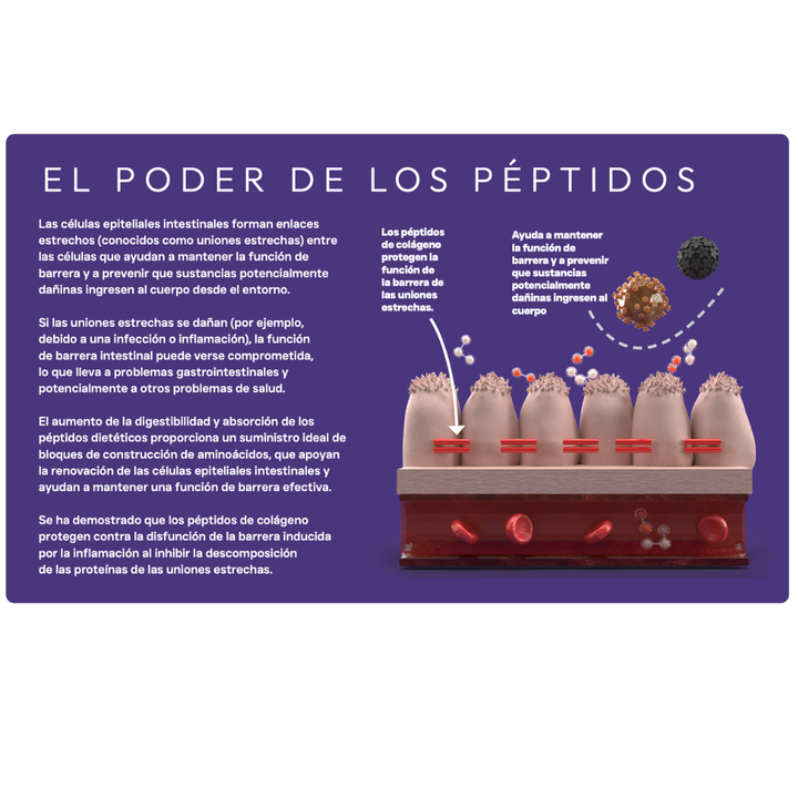 Digestive Care | Pienso Hipoalergénico Problemas Digestivos
