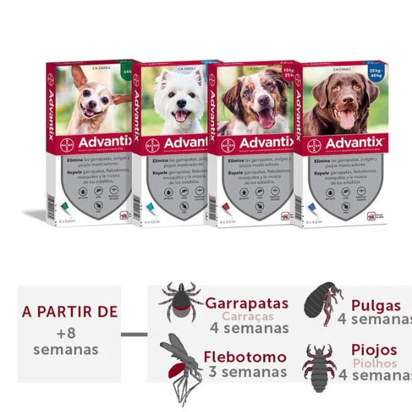 Pipetas Advantix: Protección Completa contra Parásitos para Perros