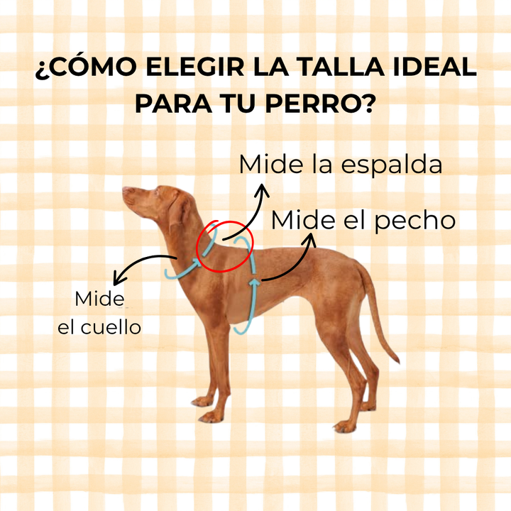 Arnés para perro Vichy Neon Pink - Algodón resistente, hecho a mano, a medida