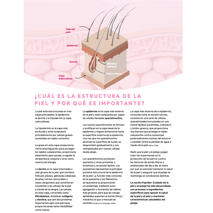 Pienso Vetoven Real Food Piel y Pelaje | Dieta para Dermatitis Atópica