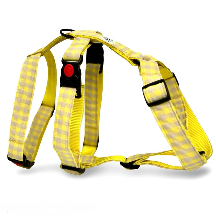 Arnés Galgo Antiescape 3 Puntos Vichy Neon Lemon Drop - Vetoven