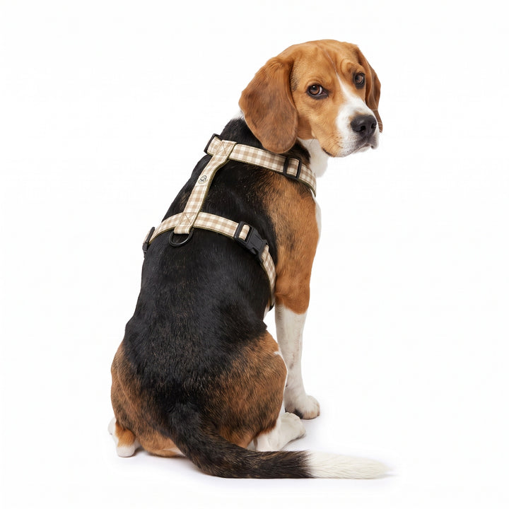 Arnés Regulable Vichy Bruno para Perro | Vetoven