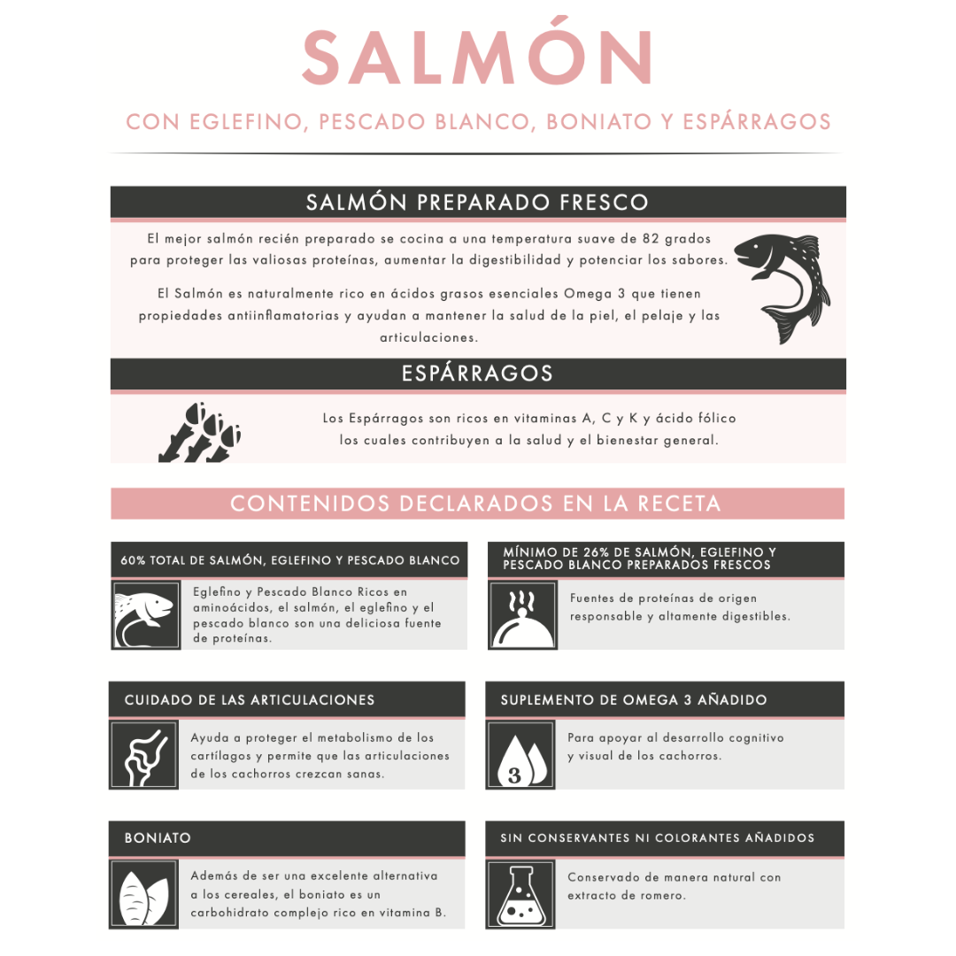 Salmón con Pescado Blanco para Cachorros | Desarrollo Saludable