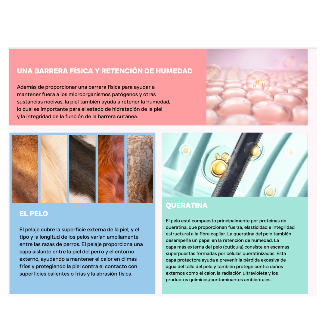 Pienso Vetoven Real Food Piel y Pelaje | Dieta para Dermatitis Atópica