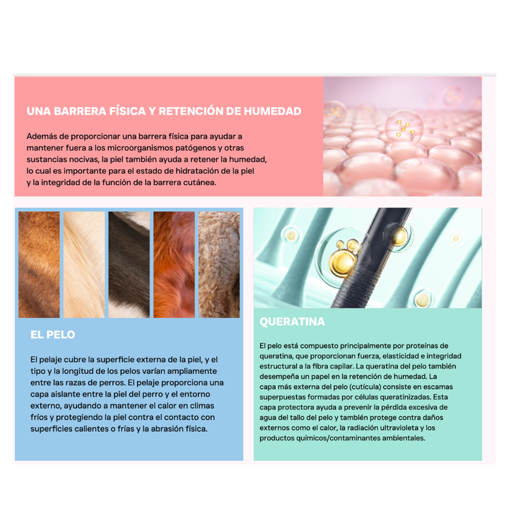 Pienso Vetoven Real Food Piel y Pelaje | Dieta para Dermatitis Atópica