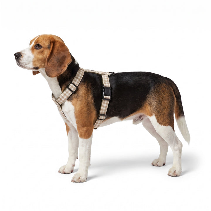 Arnés Regulable Vichy Bruno para Perro | Vetoven