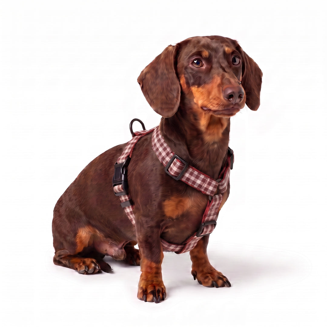 Arnés Regulable Vichy Cereza para Perro | Vetoven