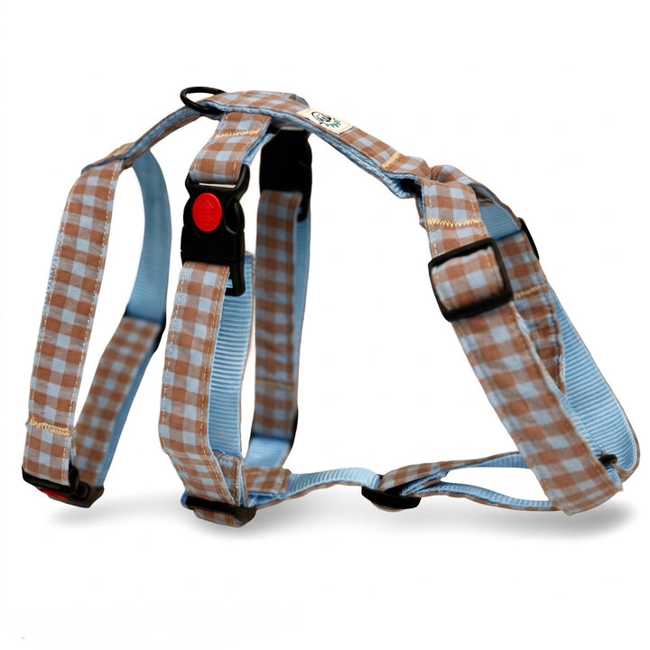 Arnés Antiescape para Galgo Vichy Bruno | Vetoven