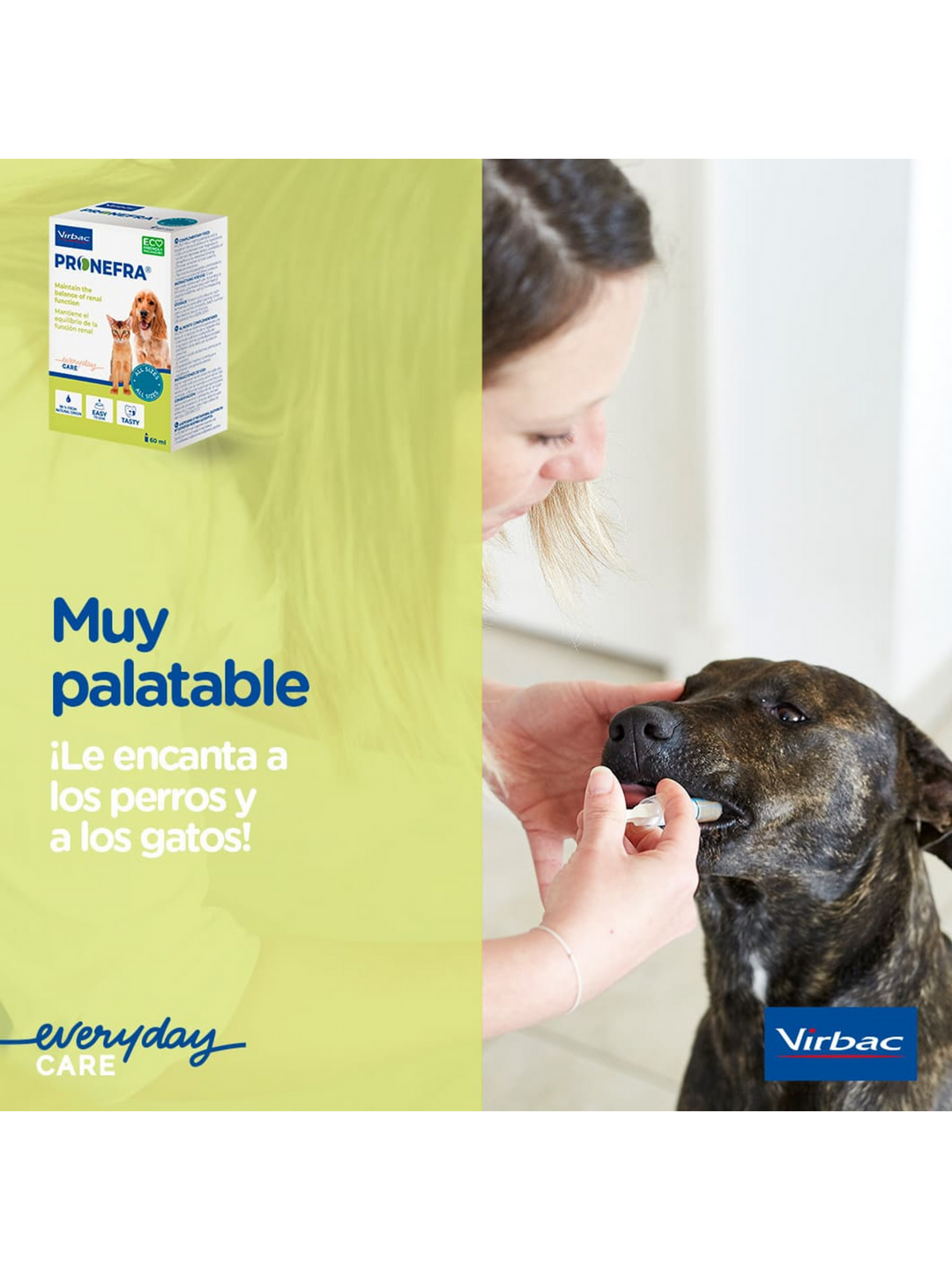 💧 Pronefra – Suplemento para la Salud Renal en Perros y Gatos
