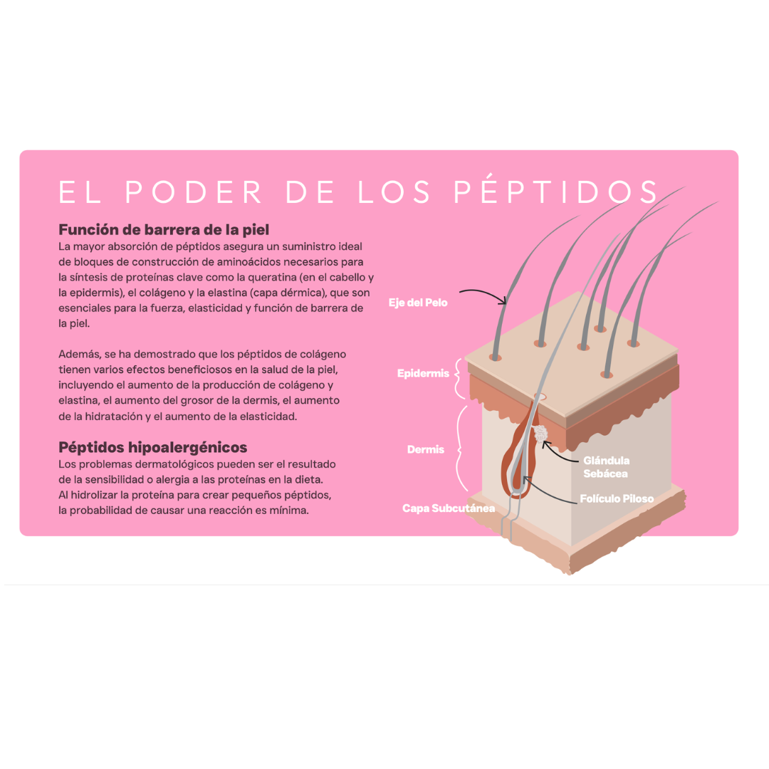 Pienso Vetoven Real Food Piel y Pelaje | Dieta para Dermatitis Atópica