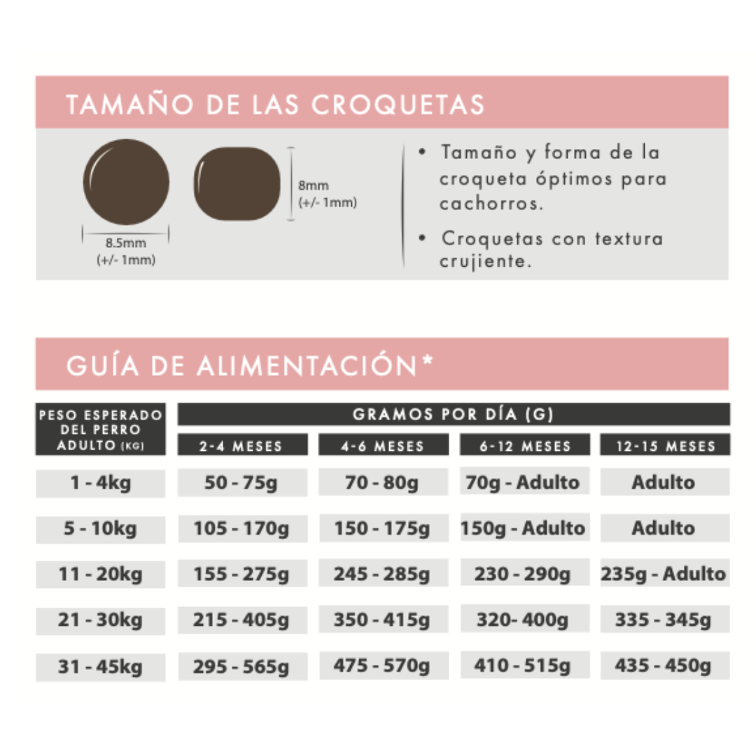 Salmón con Pescado Blanco para Cachorros | Desarrollo Saludable