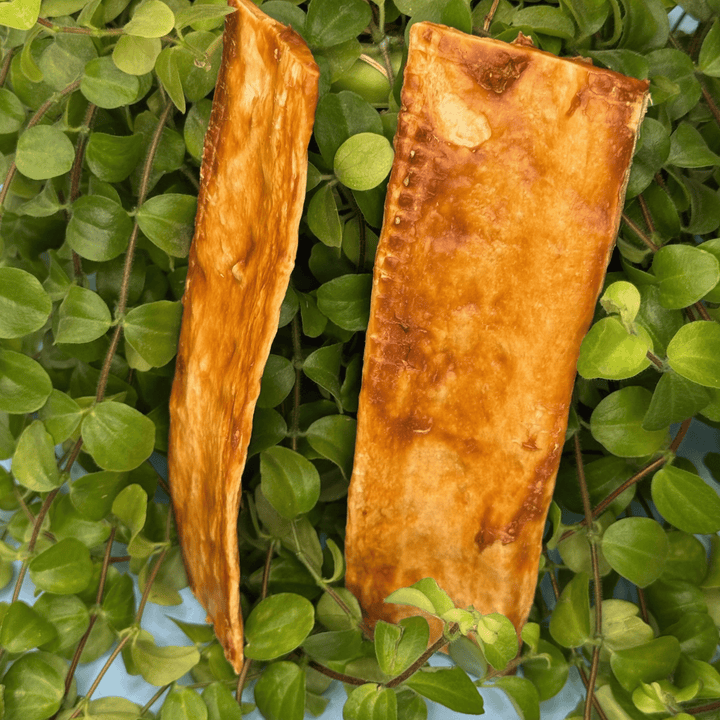 Piel Prensada de Pollo Pack 10 unidades