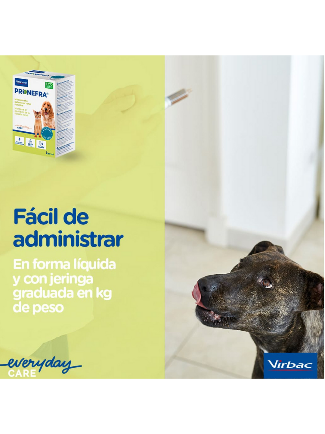 💧 Pronefra – Suplemento para la Salud Renal en Perros y Gatos