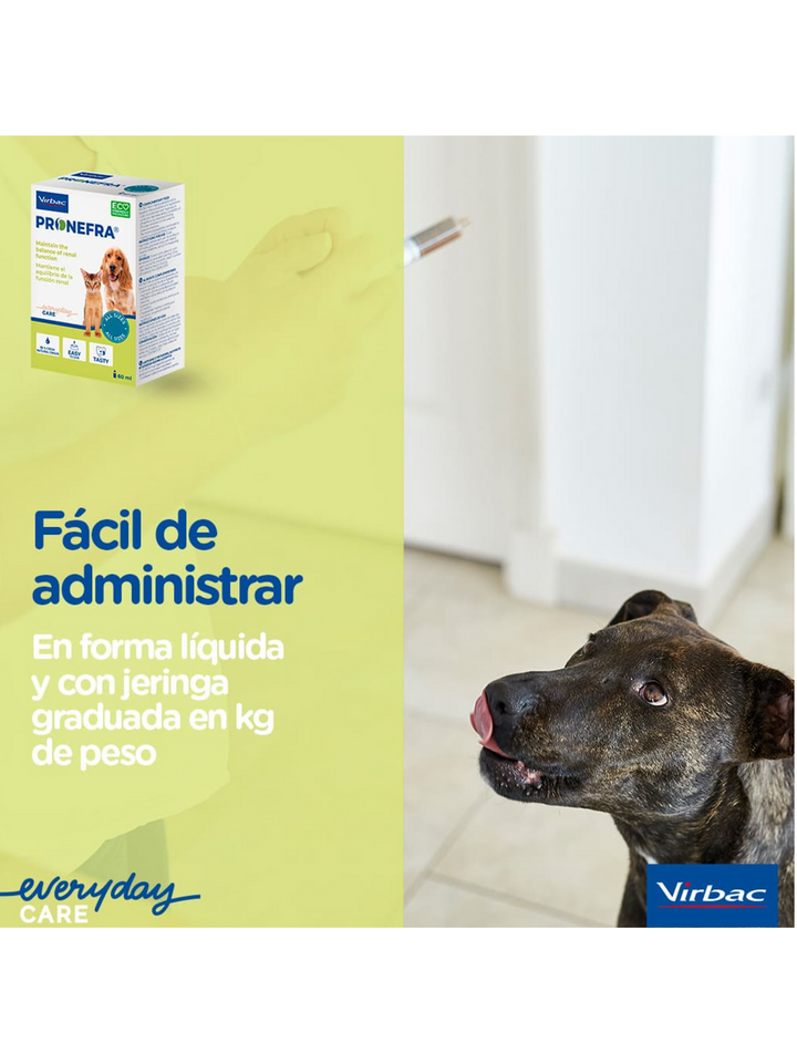 💧 Pronefra – Suplemento para la Salud Renal en Perros y Gatos
