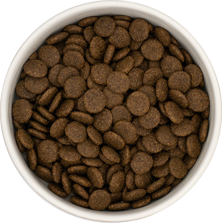 Pienso para perro adulto Vetoven Angus Beef – con boniato y zanahoria, carne fresca y sin cereales