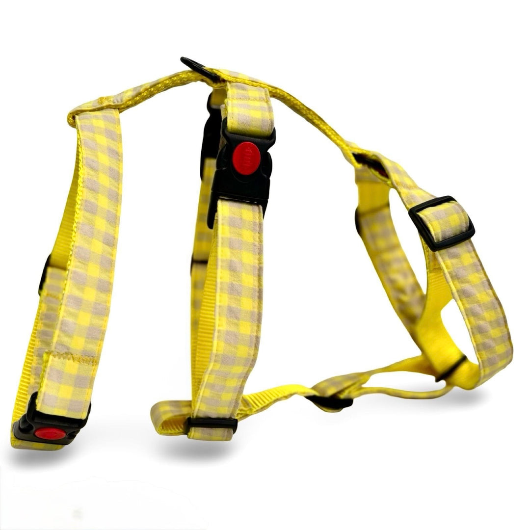 Arnés Galgo Antiescape 3 Puntos Vichy Neon Lemon Drop - Vetoven