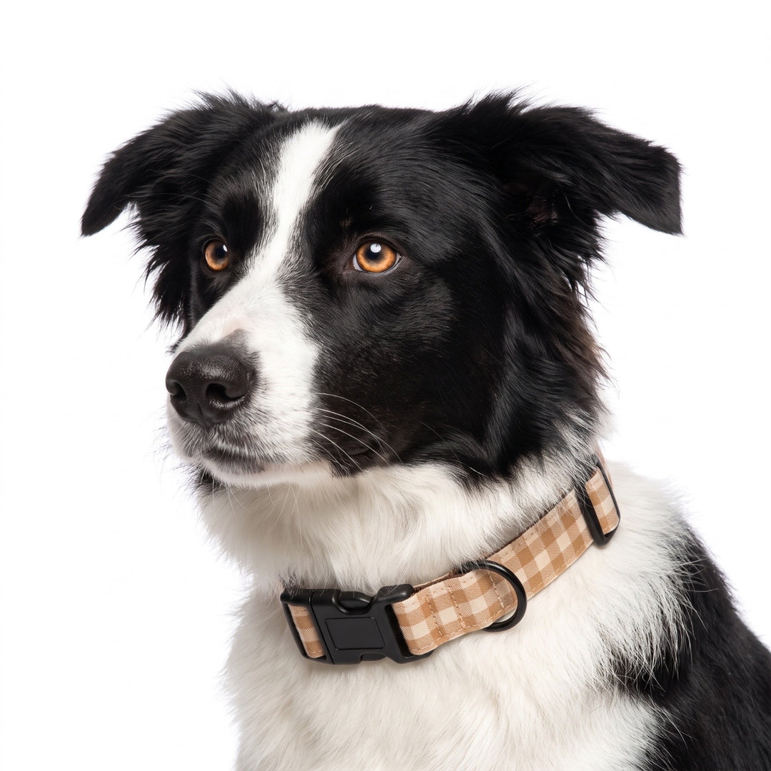 Collar Regulable Vichy Bellota para Perro | Vetoven