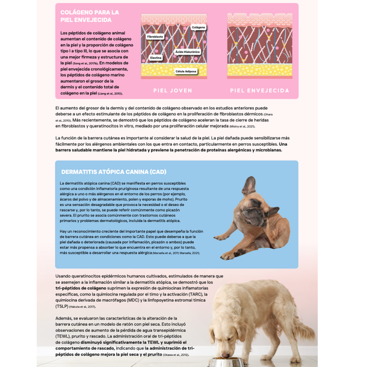 Pienso Vetoven Real Food Piel y Pelaje | Dieta para Dermatitis Atópica