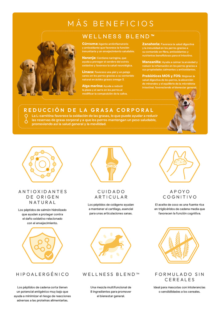 VETOVEN REAL FOOD HEALTHY LIVING - PIENSO PARA PERRO - SIN CEREALES Y 100% HIDROLIZADO