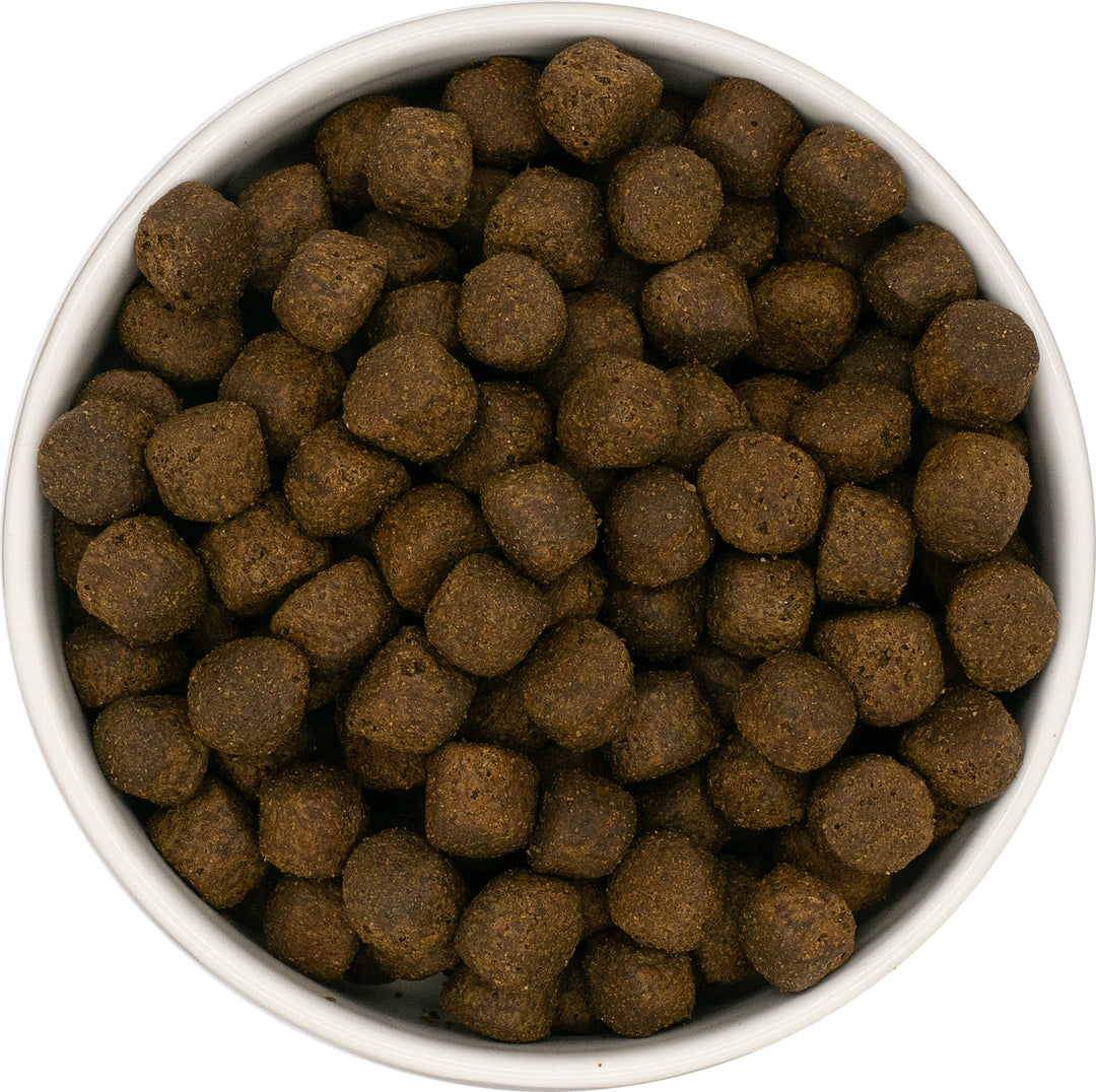 Pienso para cachorro de raza grande – Salmón con boniato y verduras